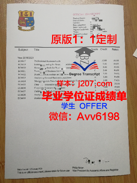 罗斯托夫国立经济大学毕业证书模板(罗斯托夫国立师范大学)