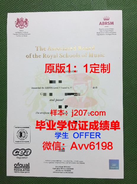 罗斯托夫国立音乐学院diploma证书(罗斯托克音乐学院学费)