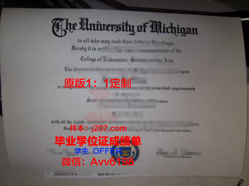 高州毕业证相片:那一抹独特的蓝色记忆