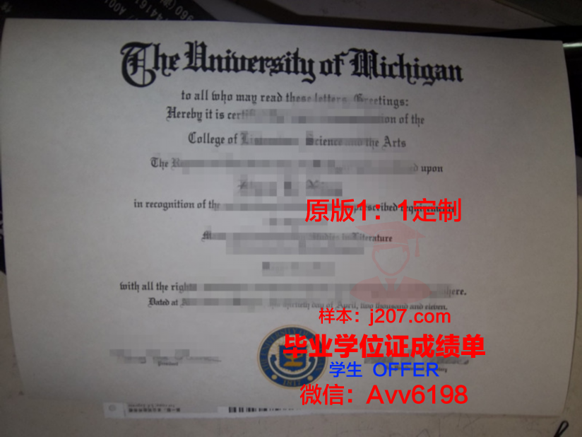 罗维毕业证:一张纸的重量