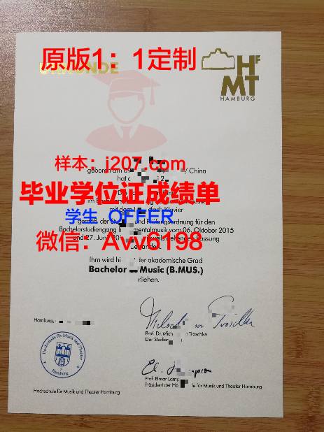 汉堡大学毕业证照片(汉堡大学本科申请条件)