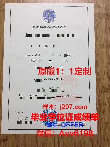 罗斯托夫国立建筑大学博士毕业证书(罗斯托克大学博士)