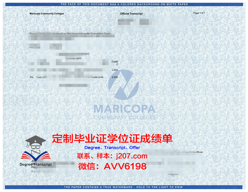 马里博尔大学毕业证成绩单