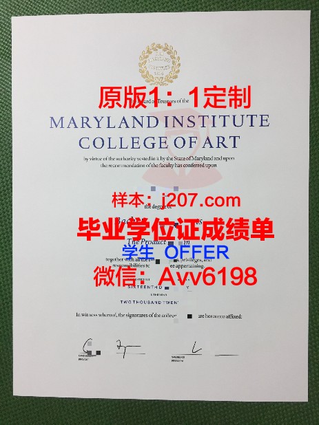 高等应用艺术学院学位成绩单定制:专业、精准、个性化