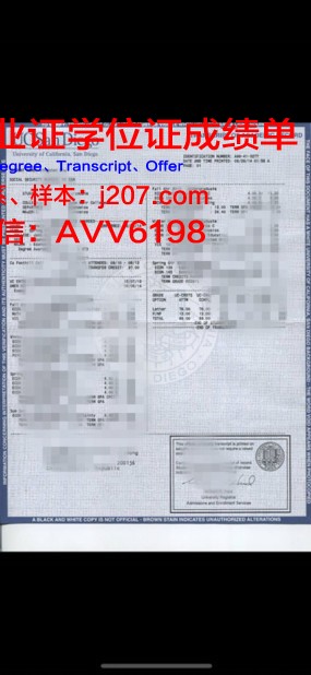 沃伦国立大学成绩单:教育质量的见证