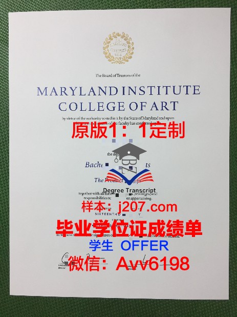 沃罗涅日国立艺术学院成绩单:艺术教育的璀璨明珠