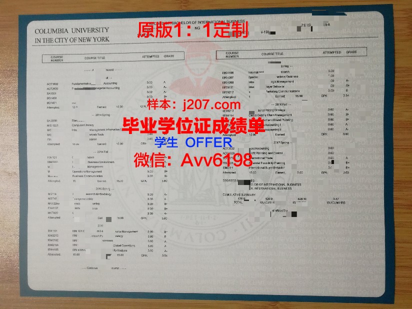 美因茨大学毕业证成绩单(美国大学的成绩单是什么样的)