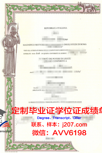 罗马第二大学的毕业证书:一张通往未来的通行证