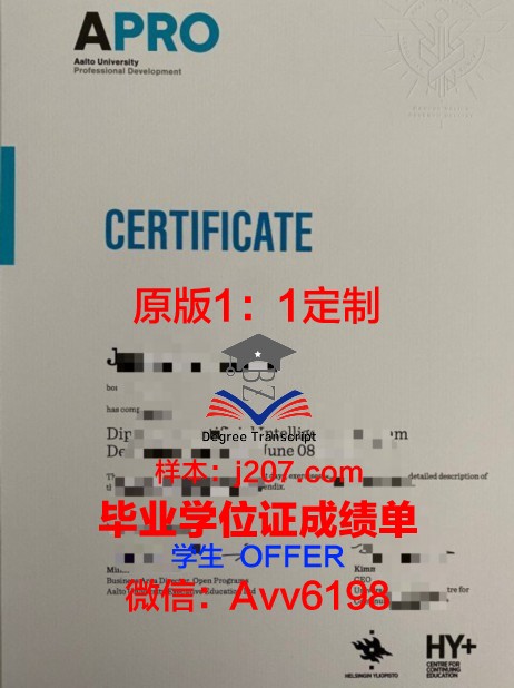 阿尔托大学毕业证书图片模板(阿尔托大学全额奖学金)