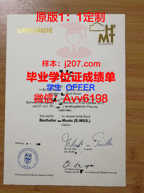 汉堡大学成绩单(汉堡大学录取通知书)