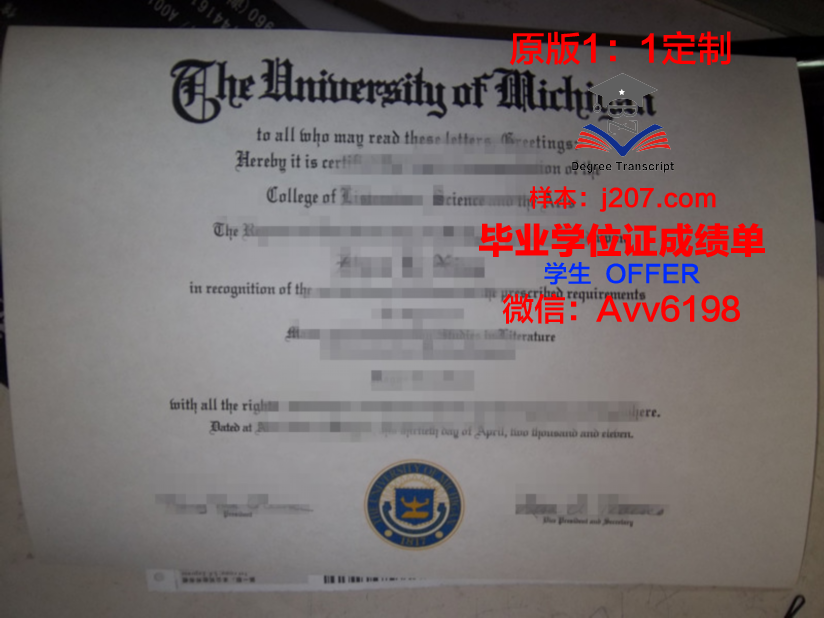 沙大学博士毕业证:一份荣耀的见证