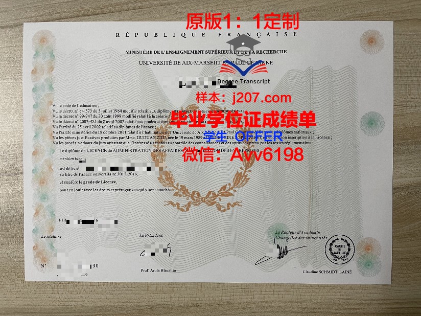 马赛中央理工学院毕业证图片(马赛中央理工大学怎么样)