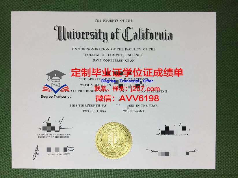 马耳他旅游研究学院毕业证定制:传承匠心,见证成长