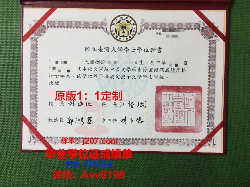 罗斯托夫国立经济大学毕业证模板(罗斯托夫国立建筑与艺术学院)