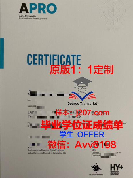 阿尔托大学毕业证高清图(阿尔托大学回国认可度)