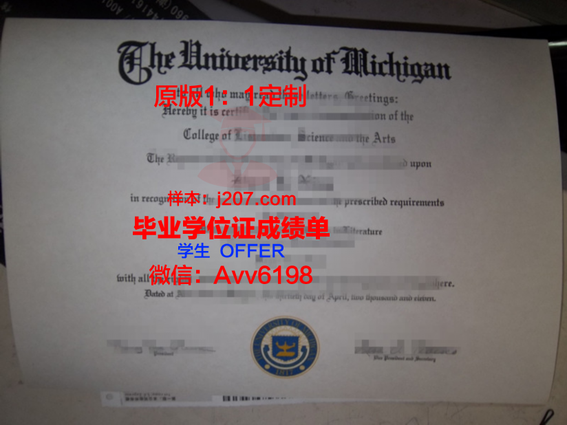沙利文大学毕业证模板(萨里大学毕业证)
