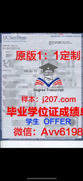 阿尔加夫大学成绩单:探索国际化教育下的学术成果
