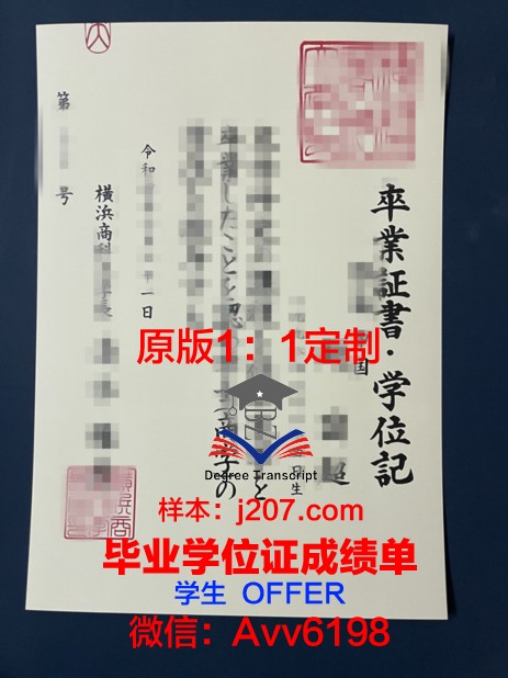 骏台电子情报与商科专门学校毕业证成绩单:一张纸背后的故事与价值