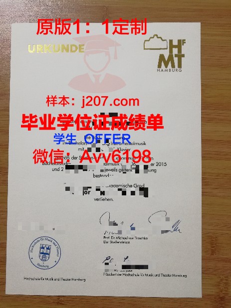 汉堡大学毕业证:一份跨越国界的荣誉证书