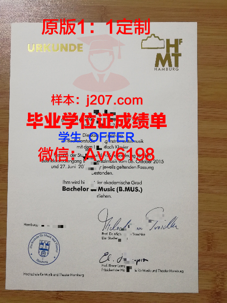 汉堡大学研究生毕业证书(汉堡大学研究生申请)