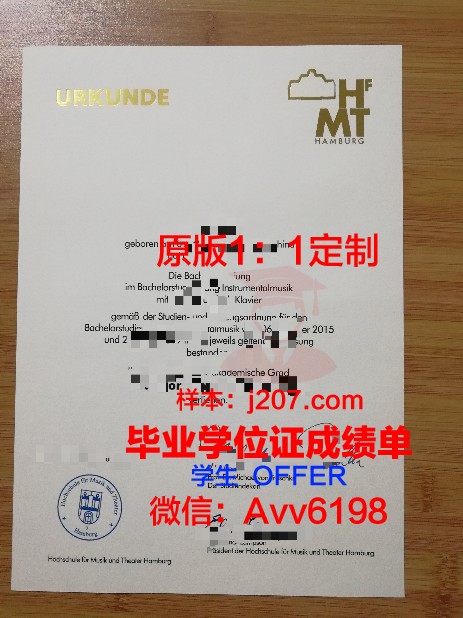 汉堡大学博士毕业证书(汉堡大学本科申请条件)