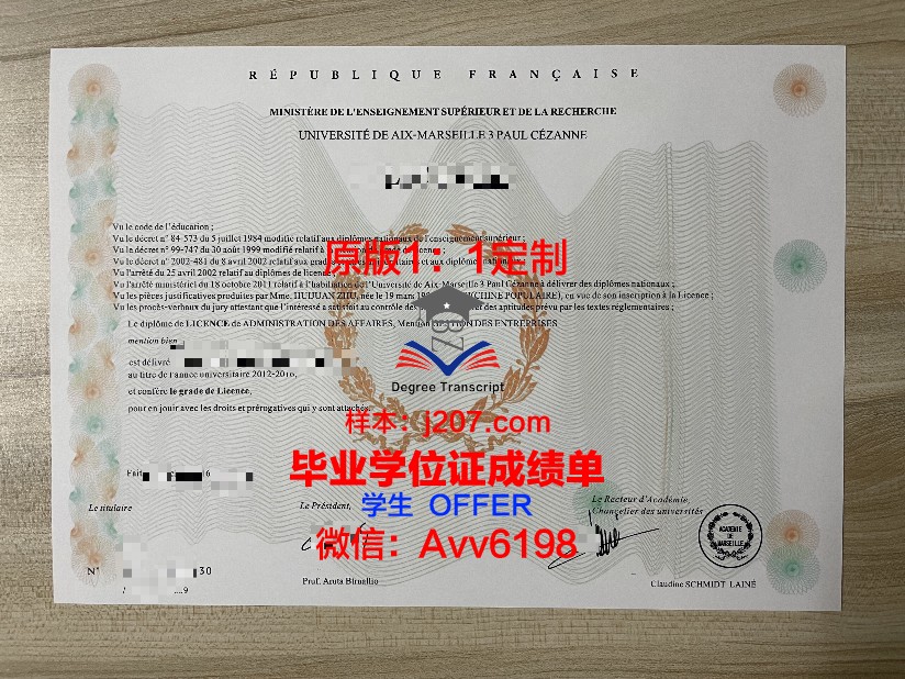 马赛第一大学毕业证图片