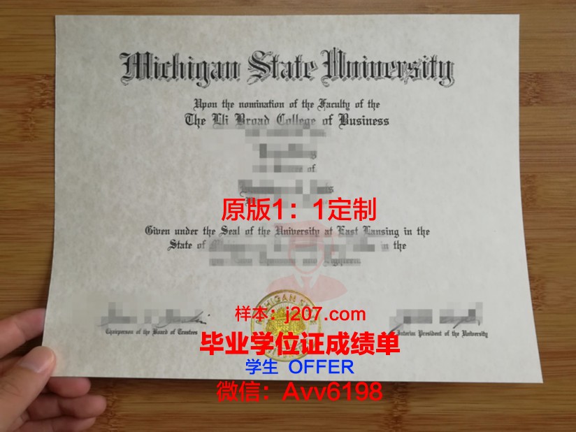 罗巴切夫斯基州立大学毕业证案例(罗巴切夫斯基的生平事迹)