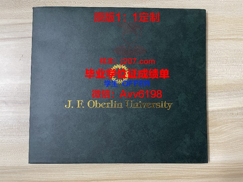 美因茨大学diploma证书(美因茨大学官网)