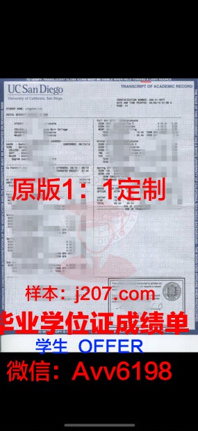 高等学校成绩单:学生成长的“晴雨表”