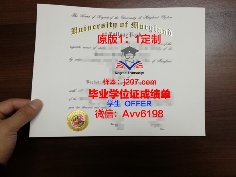 马里兰大学巴尔的摩郡分校毕业证原版(马里兰大学吧)