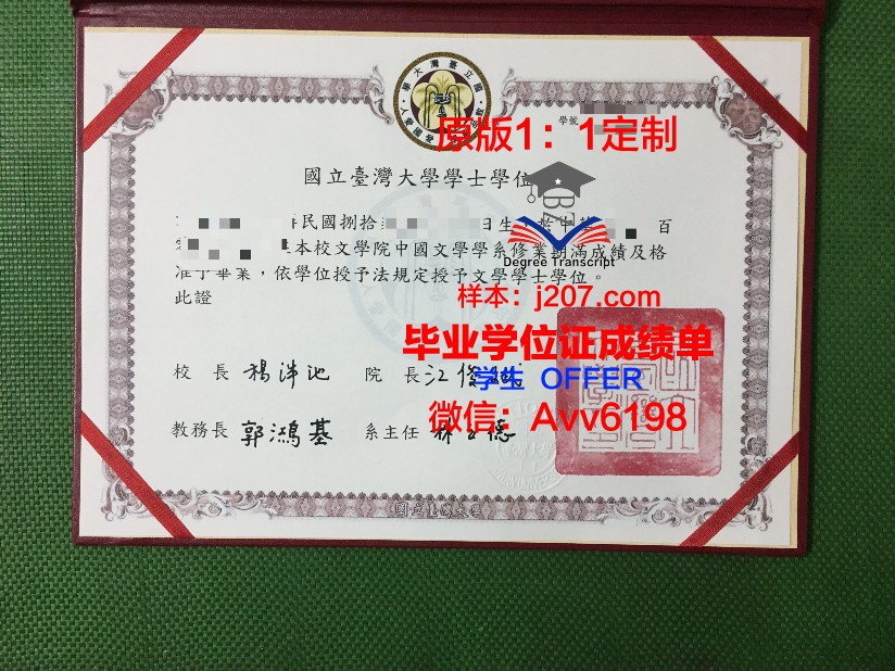 罗斯托夫国立经济大学毕业证防伪(罗斯托夫国立经济大学排名)