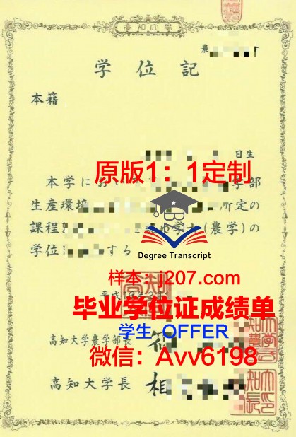 高知工科大学硕士学位证:一张开启未来的金色通行证
