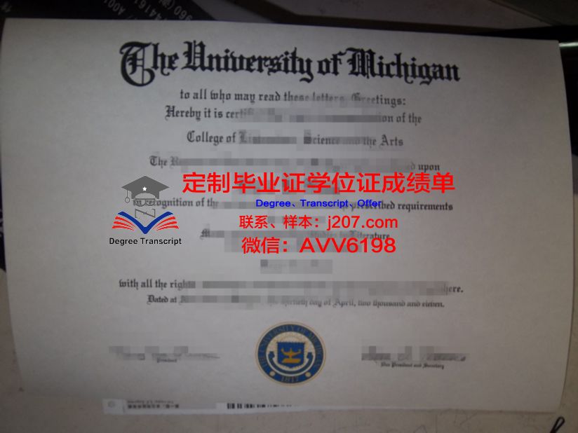 江陵岭东大学毕业证是什么样子(江陵岭东大学毕业证是什么样子的)