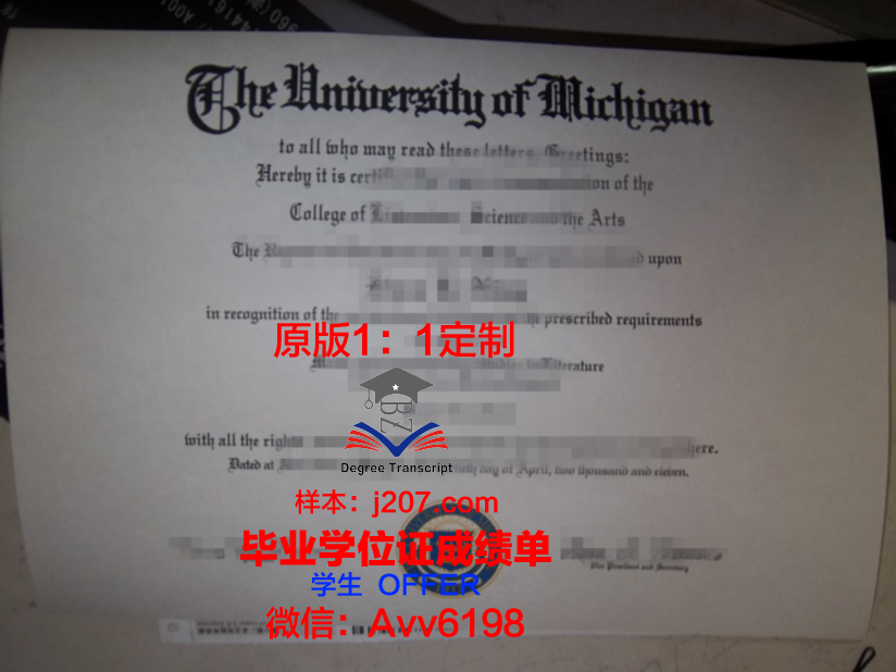 高中毕业证图:一张纸的重量与梦想的起飞