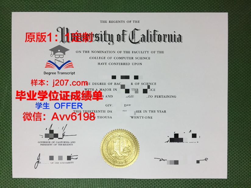 汉恩大学毕业证 HAN University of Applied Sciences diploma