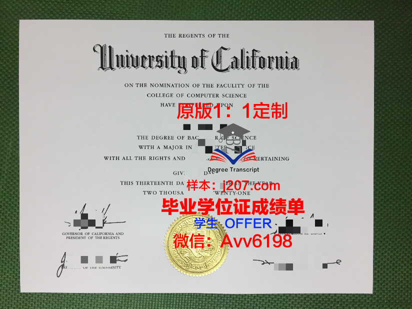 马萨里克大学毕业证:一张承载荣誉与梦想的纸