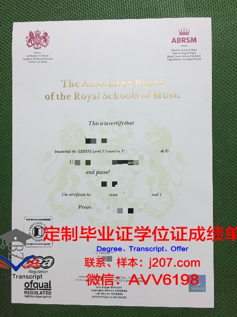 罗维戈音乐学院学历证书(罗维音响师简介)