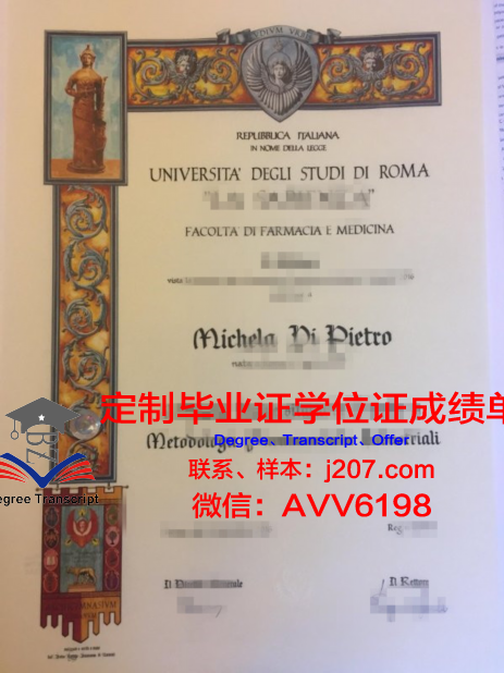 罗马第三大学毕业证案例(罗马三大多久出成绩)