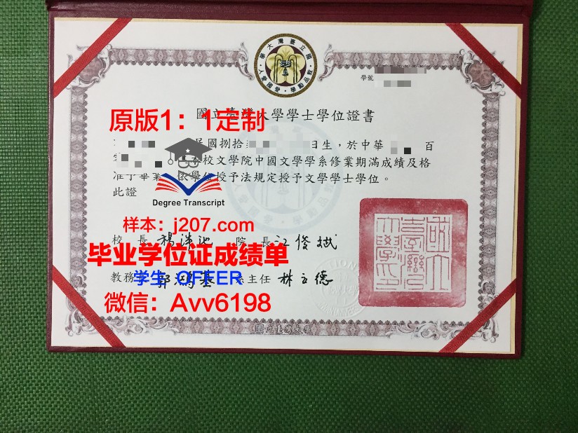 罗斯托夫国立建筑大学硕士毕业证(罗斯托夫国立建筑与艺术学院)