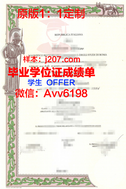 罗马艺术产业高等研究院毕业证是什么样子(罗马工艺美术)