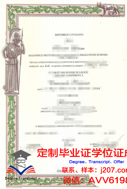 罗马第二大学成绩单:一份国际认可的学术证明