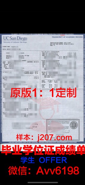 马萨里克大学学位成绩单定制:品质与诚信的双重保证