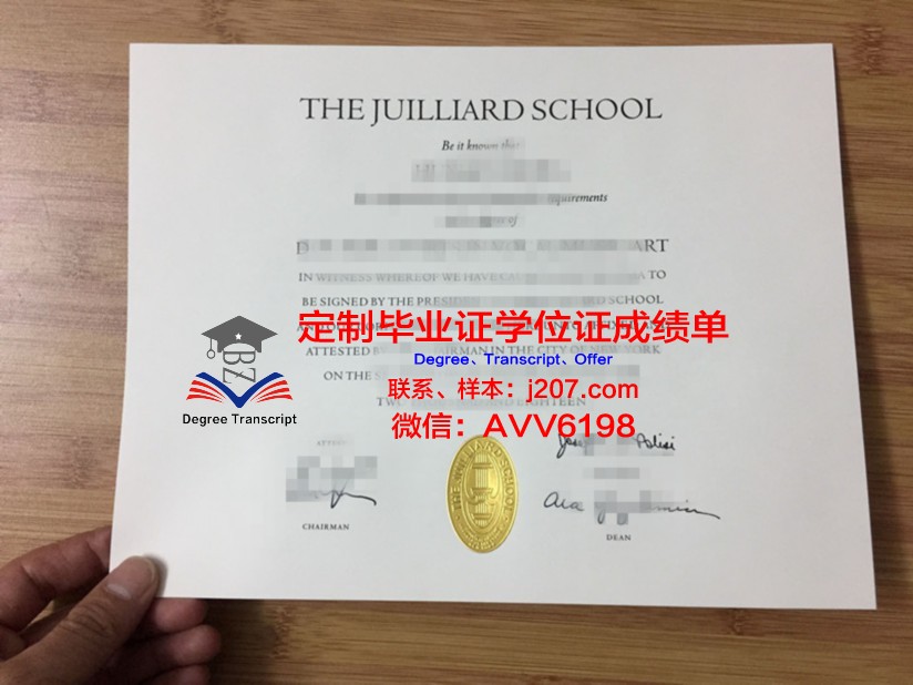 罗维戈音乐学院学历证书(罗维音响师简介)