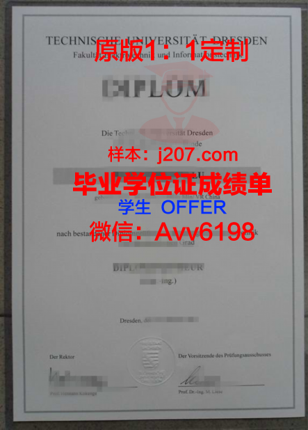 汉堡-哈尔堡工业大学毕业证书(哈尔堡工业大学排名)