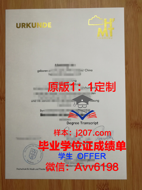 汉堡应用技术大学毕业证模板(汉堡大学好毕业吗)