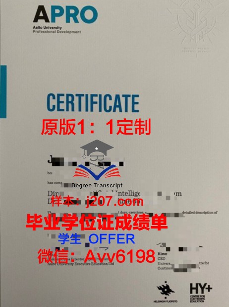 阿尔托大学毕业证定制:追寻梦想的证明