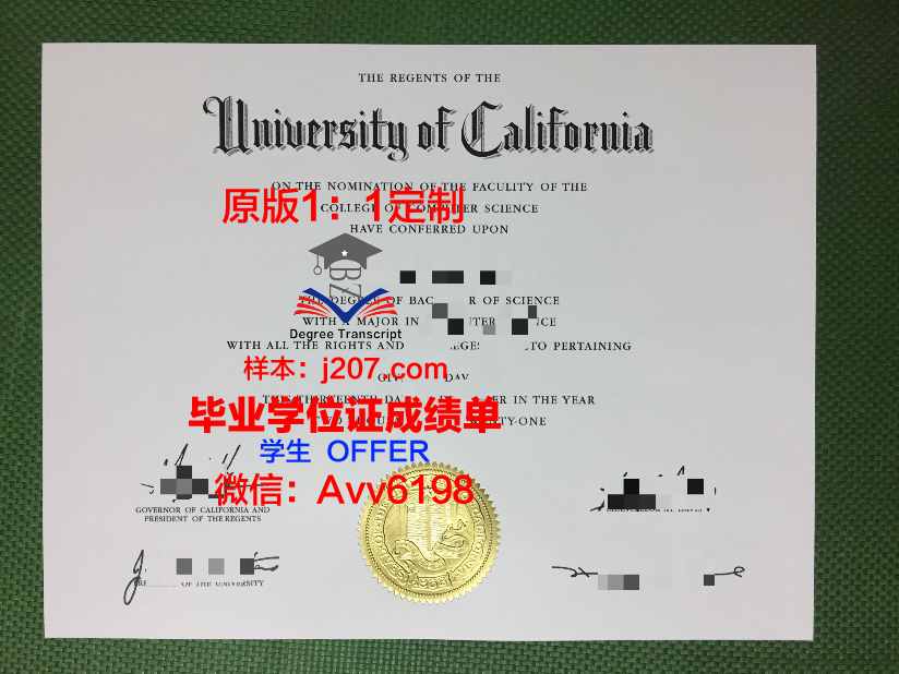 沙市大学毕业证查询(沙市大学毕业证查询网站)