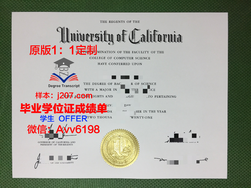 沃尔姆应用技术大学毕业证是什么样子(沃尔姆是什么意思)