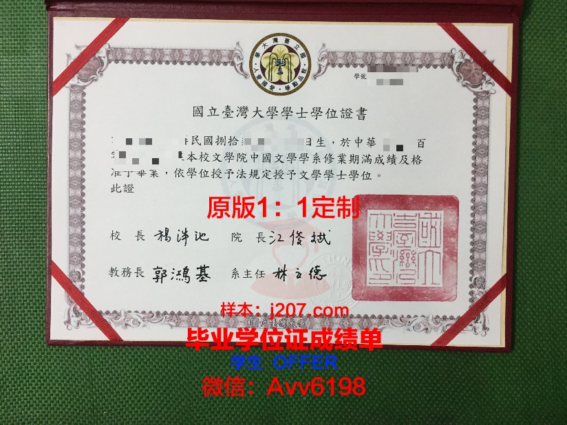 沃罗涅日国立大学文凭(沃罗涅日国立大学排名)