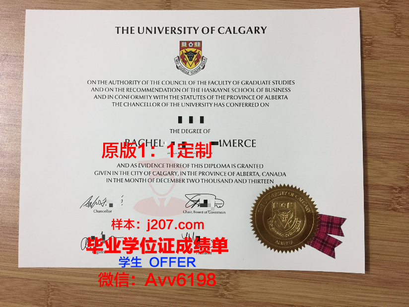 沙希德佐勒菲卡尔·阿里·布托科技学院学历证书